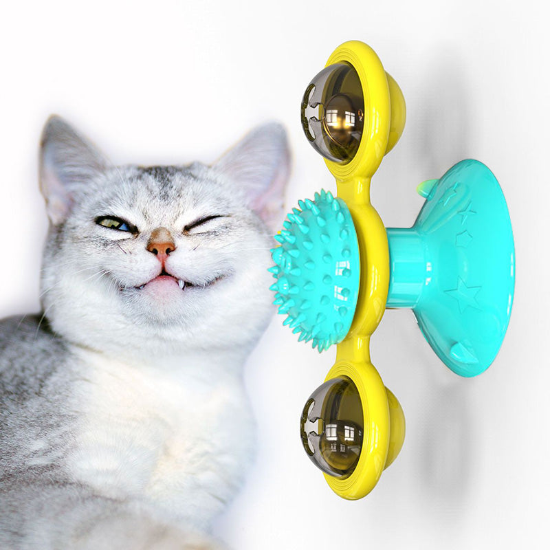 Cat Toys