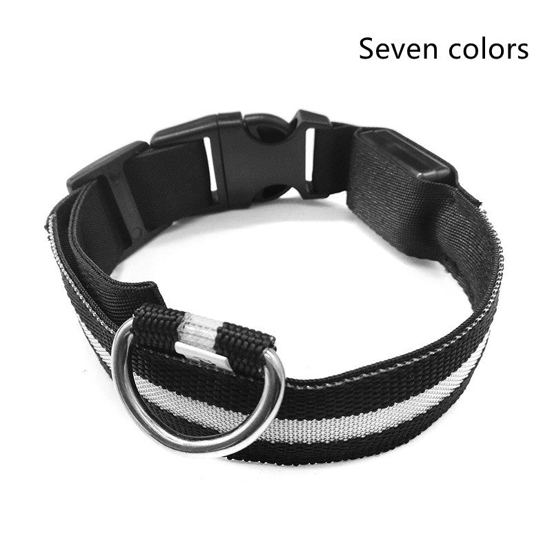 LED Night Safety Dog Collar