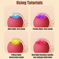 PawGendary™ Interactive Rolling Ball