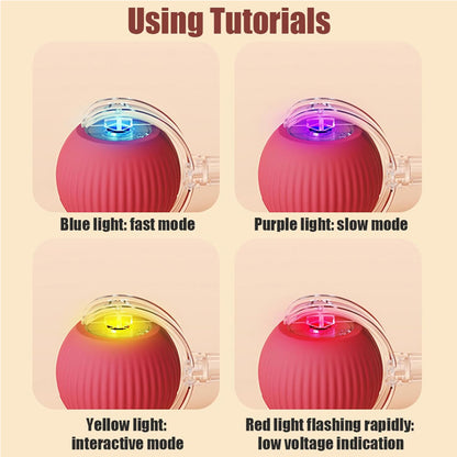 PawGendary™ Interactive Rolling Ball