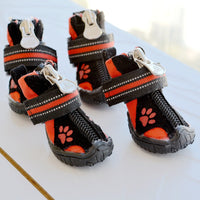 Printed Suede Cotton Shoes for Medium & Large Dogs