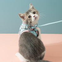Escape-Proof Cat Harness with Leash