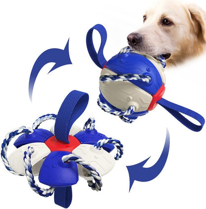 Interactive Dog Soccer Ball