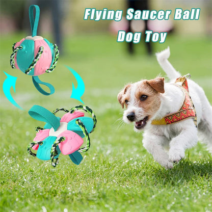 Interactive Dog Soccer Ball