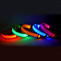 LED Night Safety Dog Collar
