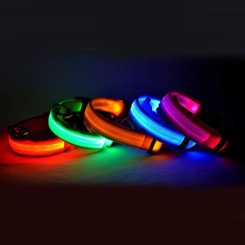 LED Night Safety Dog Collar