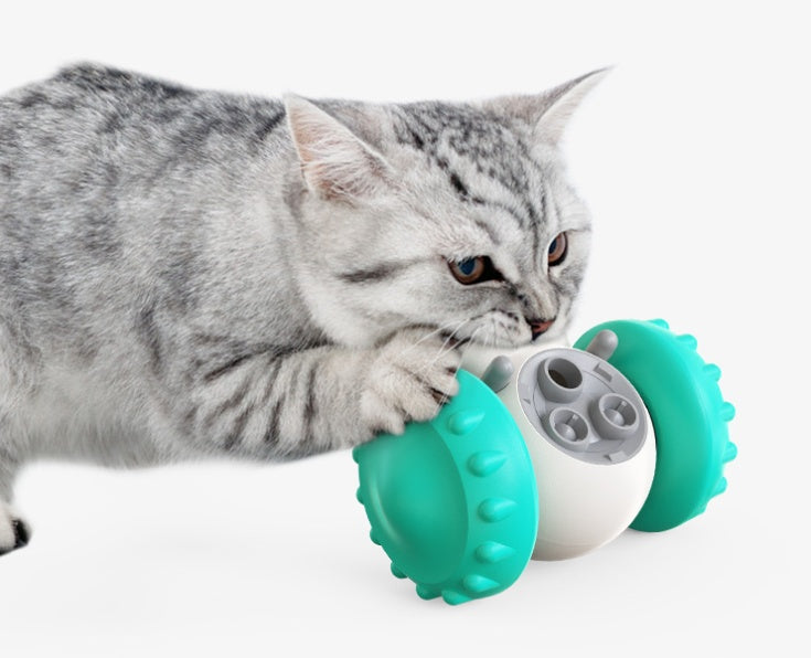 Smart Slow Feeder Pet Toy