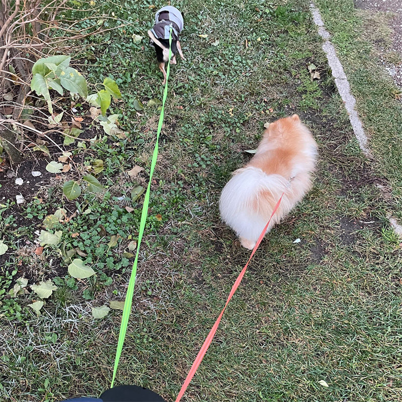 360° Dual Dog Leash with LED Light