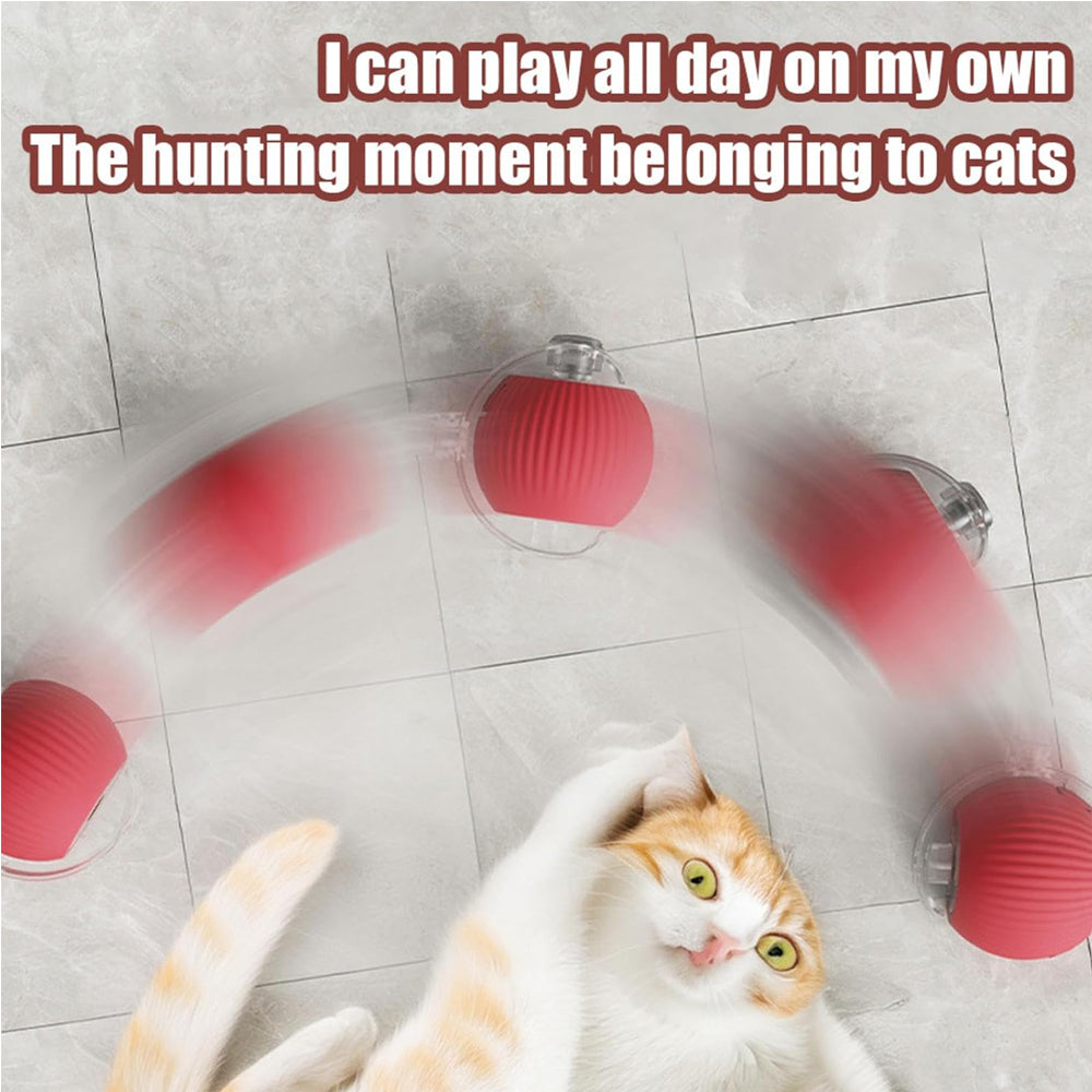 PawGendary™ Interactive Rolling Ball
