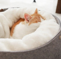 Warm Soft Pet Sleeping Bag