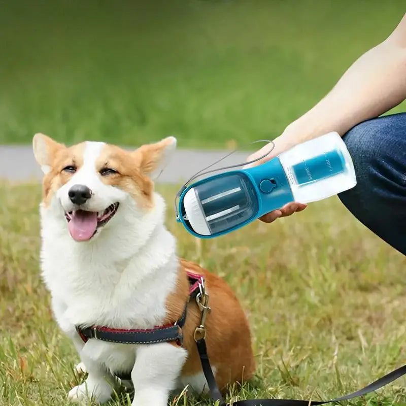 3-in-1 Travel Dog Water Dispenser