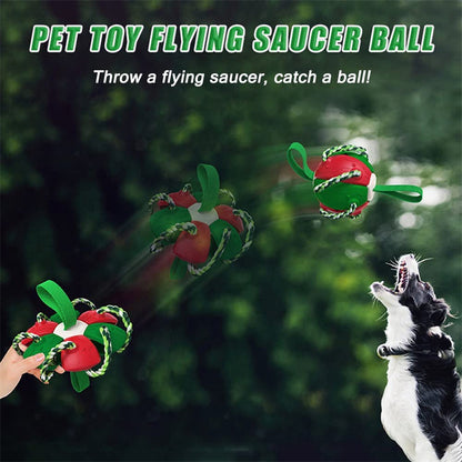 Interactive Dog Soccer Ball