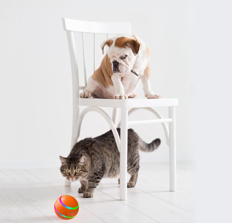 Smart Interactive Pet Ball