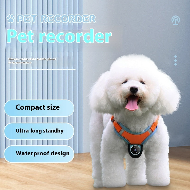 Smart Pet Camera Action Collar