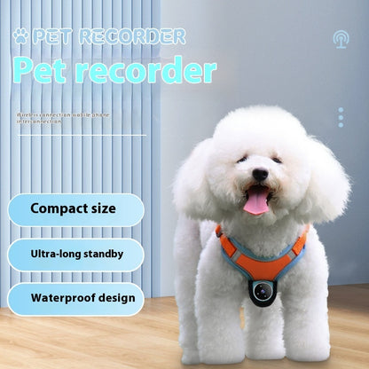 Smart Pet Camera Action Collar