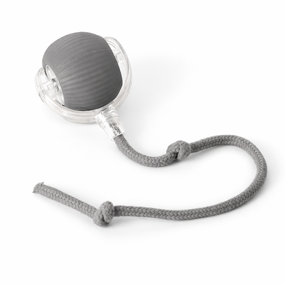 PawGendary™ Interactive Rolling Ball