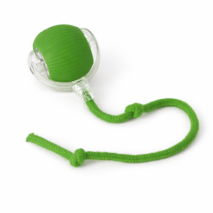 PawGendary™ Interactive Rolling Ball