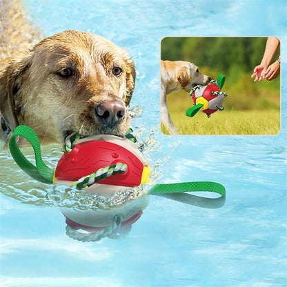 Interactive Dog Soccer Ball