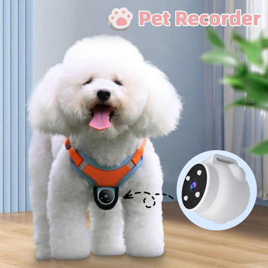 Smart Pet Camera Action Collar