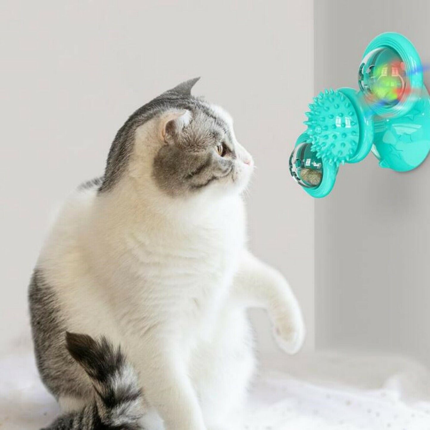 Cat Windmill Toy