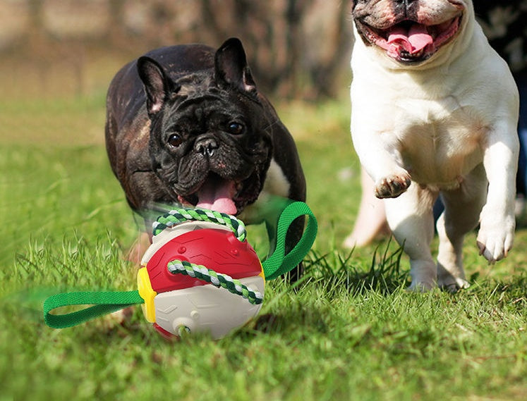Interactive Dog Soccer Ball