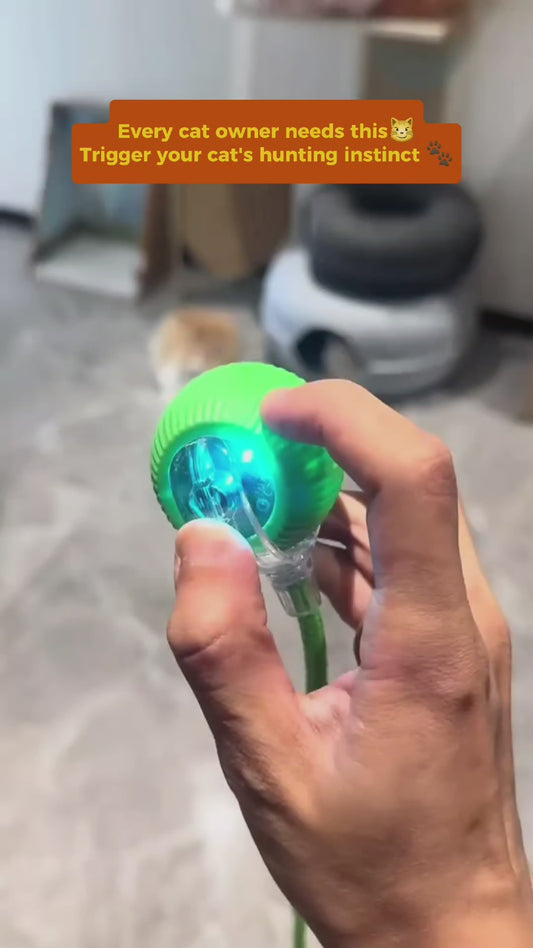 PawGendary™ Interactive Rolling Ball