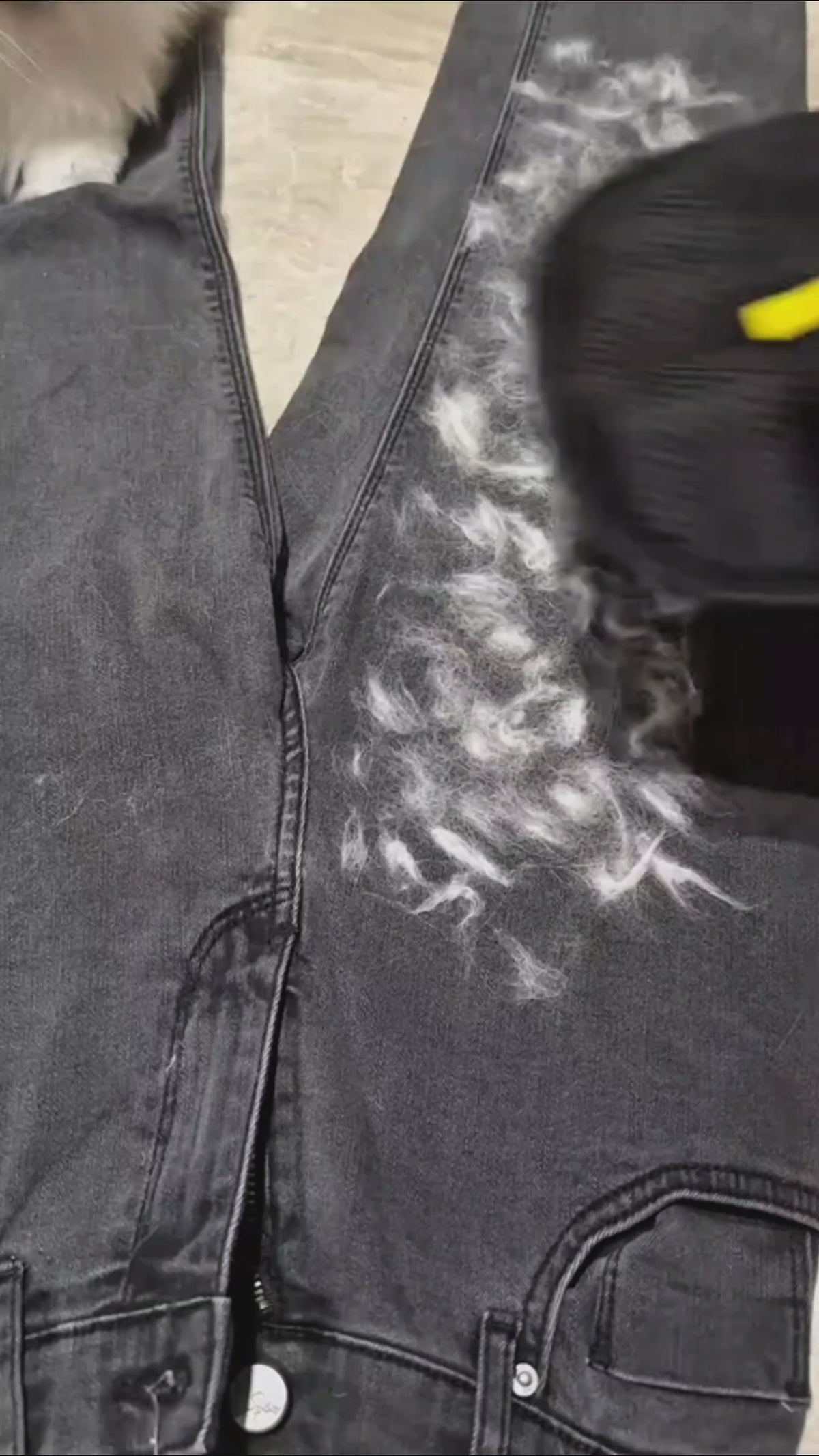 Pet Hair — Gone in Seconds